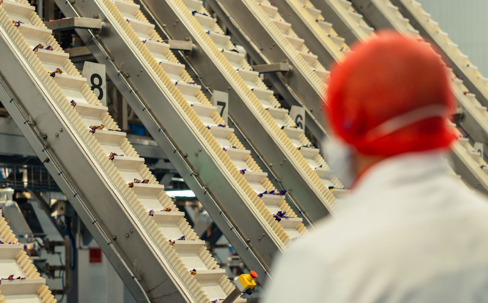 How Do You Advance an FMCG Supply Chain Without Losing Pace?